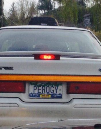 PEROGY PEROGY